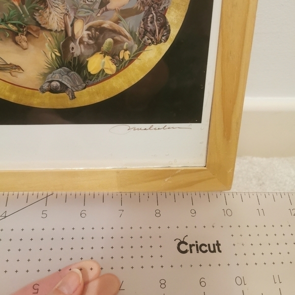 PAT Malcolm new Mexico wildlife - Picture 3 of 5